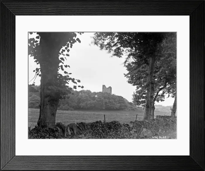 Framed Print : Distant view of Audleys Castle, Strangford Framed Print : Distant view of Audleys Castle, Strangford