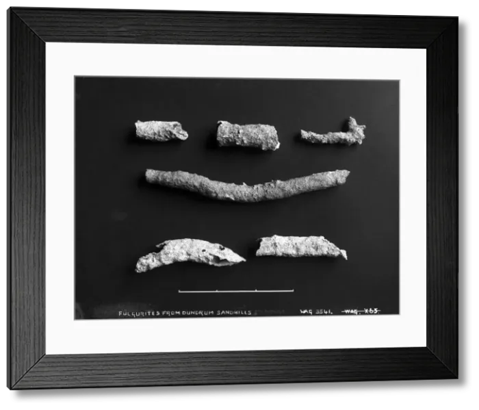 Framed Print : Fulgerites from Dundrum Sand Hills, Co. Down Framed Print : Fulgerites from Dundrum Sand Hills, Co. Down