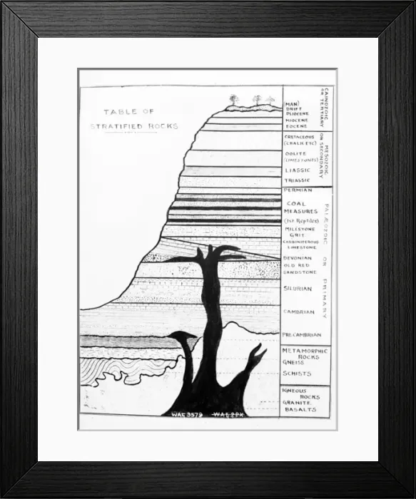 Framed Print : Diagram showing a cross section and table of stratified rock Framed Print : Diagram showing a cross section and table of stratified rock