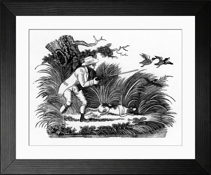 Framed Print : Shooting duck Framed Print : Shooting duck