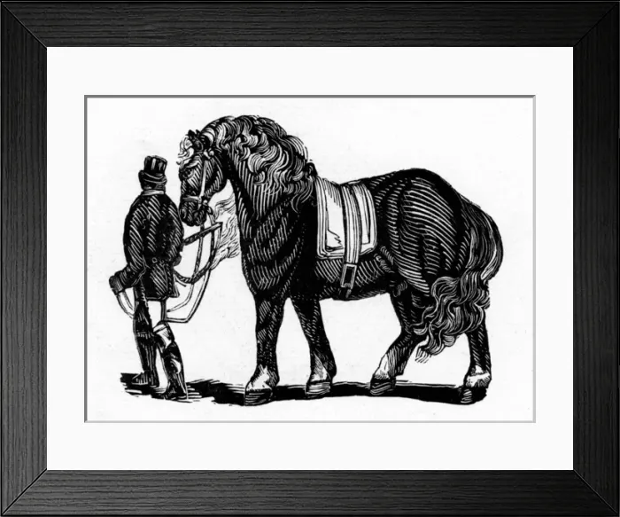 Framed Print : Man & a shire horse Framed Print : Man & a shire horse