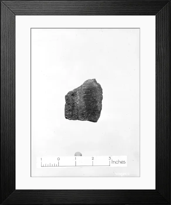 Framed Print : A view of a fragment of pottery Framed Print : A view of a fragment of pottery