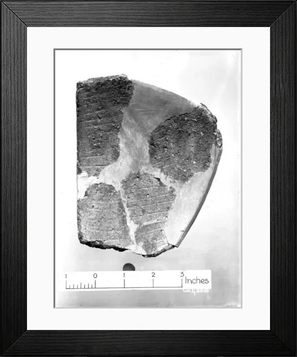 Framed Print : View of pottery fragments against a white background Framed Print : View of pottery fragments against a white background