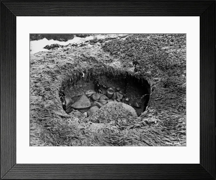 Framed Print : View of a coastal hole with stones inside Framed Print : View of a coastal hole with stones inside