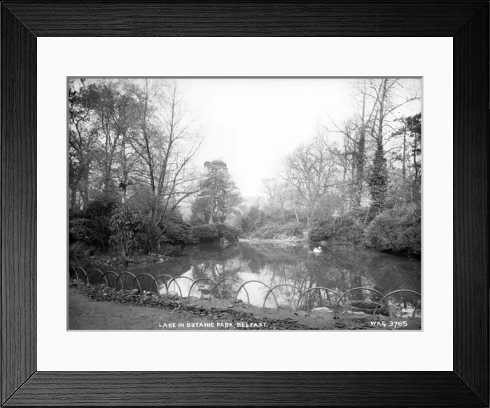 Framed Print : Lake in Botanic Park, Belfast Framed Print : Lake in Botanic Park, Belfast