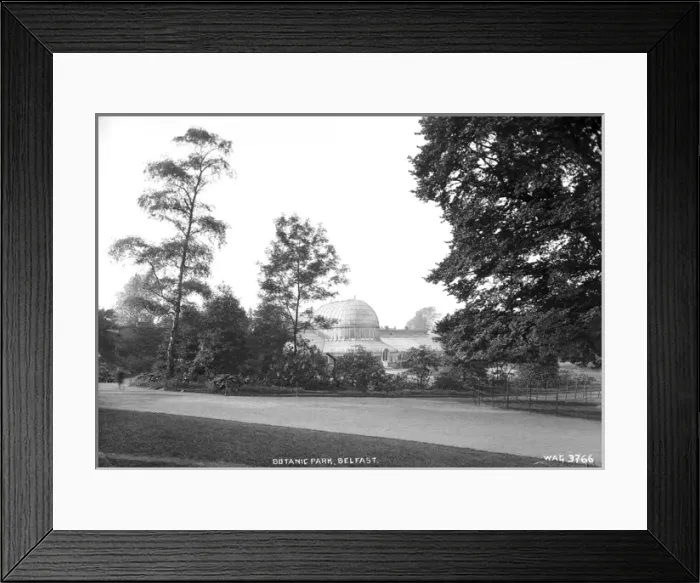 Framed Print : Botanic Park, Belfast Framed Print : Botanic Park, Belfast