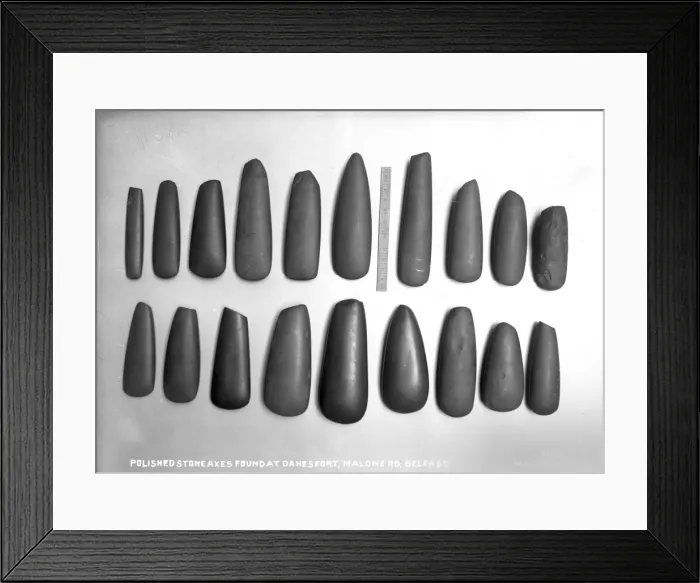 Framed Print : Polished Stone Axes Found at Danesfort, Malone Rd, Belfast Framed Print : Polished Stone Axes Found at Danesfort, Malone Rd, Belfast