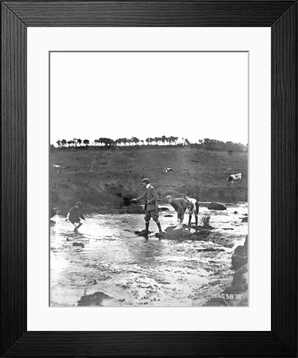 Framed Print : The Giants Causeway Framed Print : The Giants Causeway