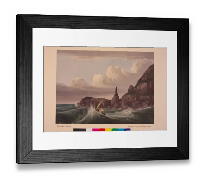 Framed Print : Pleaskin Head