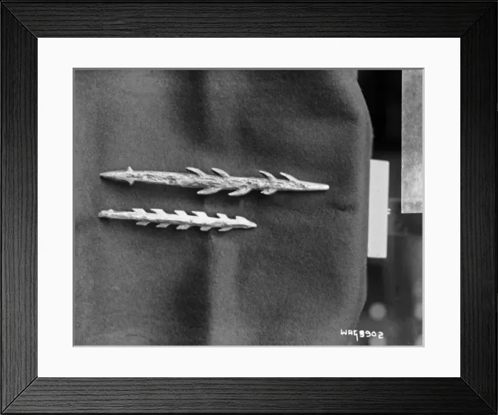 Framed Print : A bone harpoon heads on cloth Framed Print : A bone harpoon heads on cloth