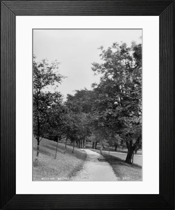 Framed Print : Bellevue, Belfast Framed Print : Bellevue, Belfast