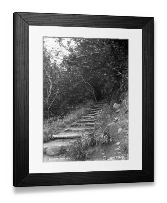 Framed Print : Bellevue, Belfast Framed Print : Bellevue, Belfast