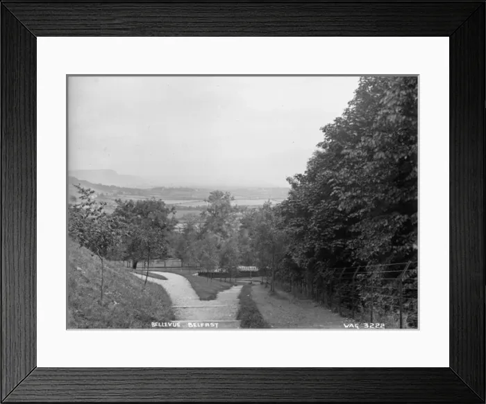 Framed Print : Bellevue, Belfast Framed Print : Bellevue, Belfast