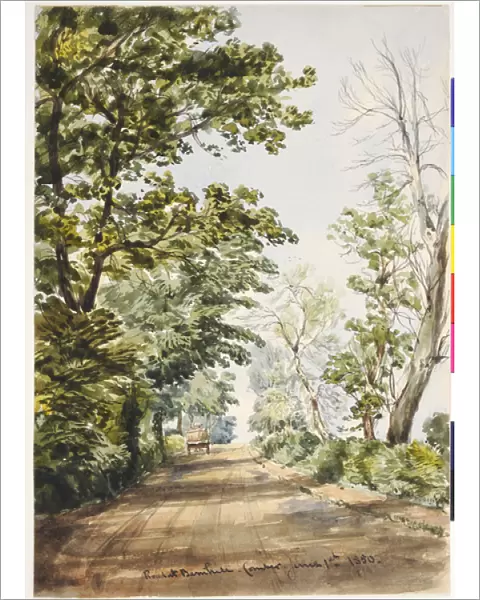 Road at Barnhill, Comber