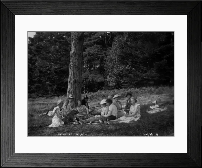 Framed Print : Picnic at Loughgall Framed Print : Picnic at Loughgall
