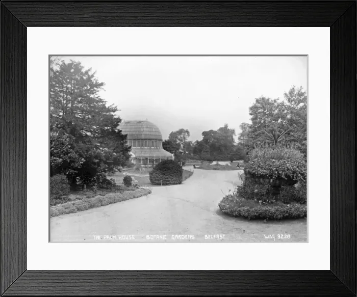 Framed Print : The Palm House, Botanic Gardens, Belfast Framed Print : The Palm House, Botanic Gardens, Belfast