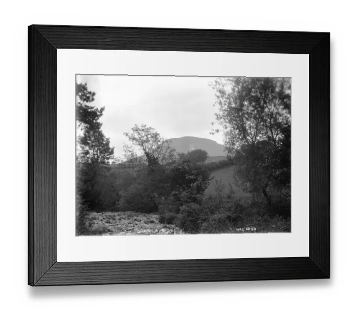 Framed Print : Lurig and R. Dall Framed Print : Lurig and R. Dall