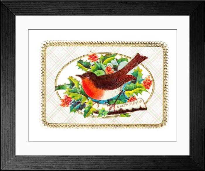 Framed Print : Robin with holly on a New Year card Framed Print : Robin with holly on a New Year card