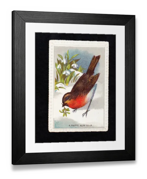 Framed Print : Robin with mistletoe and snowdrops on a New Year card Framed Print : Robin with mistletoe and snowdrops on a New Year card