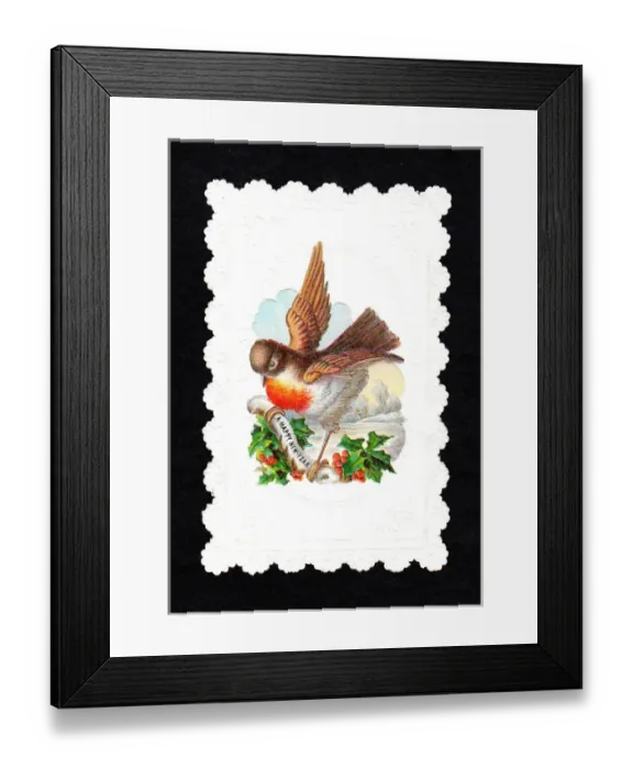 Framed Print : Robin with holly on a New Year card Framed Print : Robin with holly on a New Year card