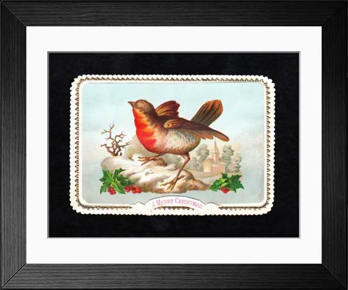 Framed Print : Robin in the snow with holly on a Christmas card Framed Print : Robin in the snow with holly on a Christmas card
