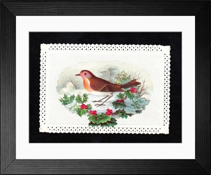 Framed Print : Robin in the snow with holly on a Christmas card Framed Print : Robin in the snow with holly on a Christmas card