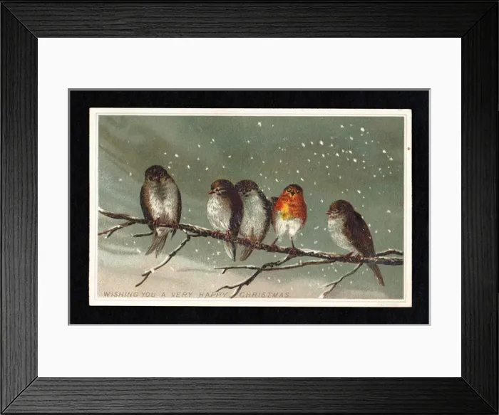 Framed Print : Five birds on a branch in the snow on a Christmas card Framed Print : Five birds on a branch in the snow on a Christmas card