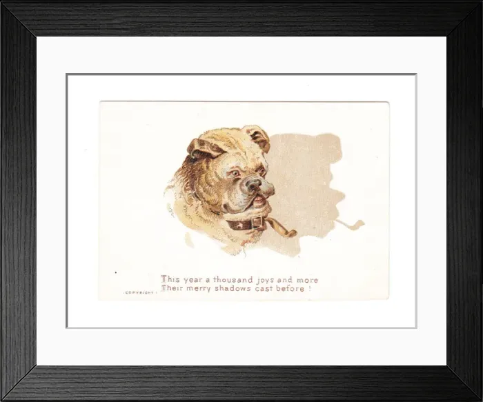 Framed Print : Tabby cat casting a shadow on a Christmas card Framed Print : Tabby cat casting a shadow on a Christmas card