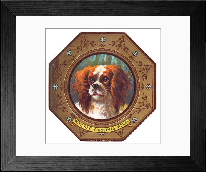 Framed Print : Spaniel dog on plate design on a Christmas card Framed Print : Spaniel dog on plate design on a Christmas card