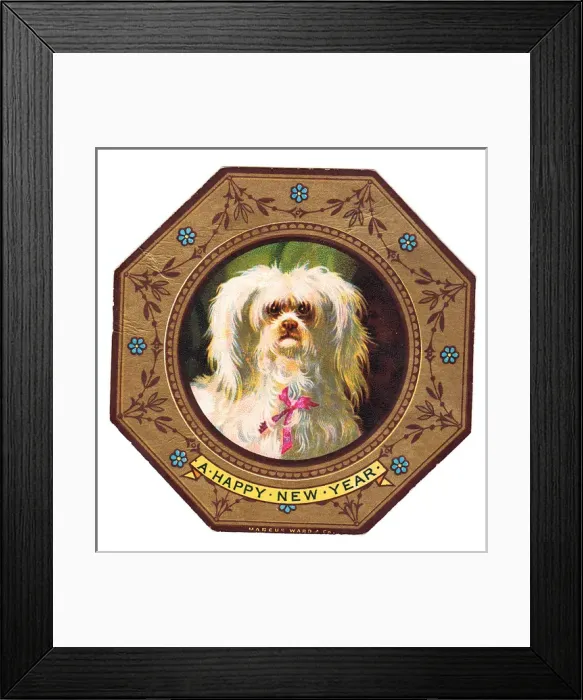 Framed Print : White dog on plate design on a New Year card