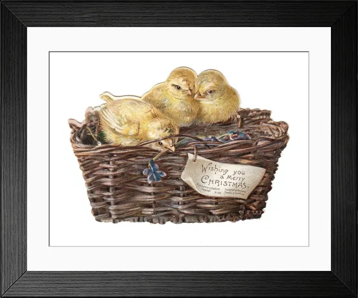 Framed Print : Three chicks in a basket on a cutout Christmas card Framed Print : Three chicks in a basket on a cutout Christmas card