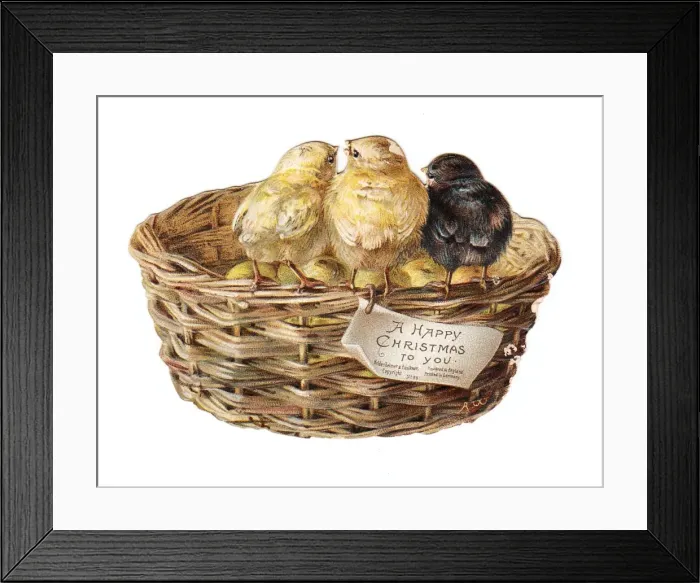 Framed Print : Three chicks on a basket on a cutout Christmas card