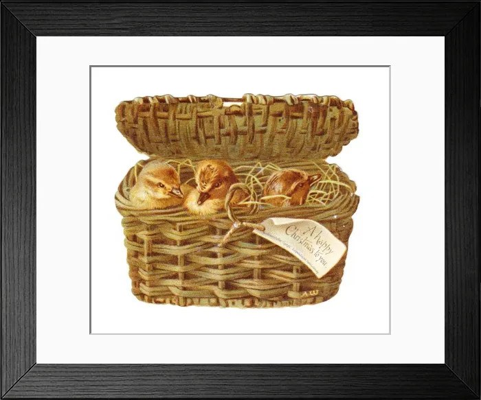 Framed Print : Three ducklings in a basket on a cutout Christmas card Framed Print : Three ducklings in a basket on a cutout Christmas card