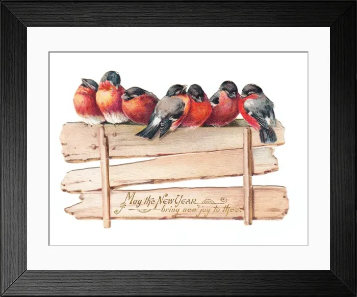 Framed Print : Robins perched on a fence on a cutout New Year card Framed Print : Robins perched on a fence on a cutout New Year card