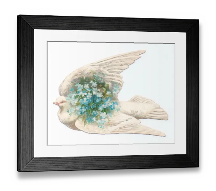 Framed Print : White dove with flowers on a bird-shaped greetings card Framed Print : White dove with flowers on a bird-shaped greetings card