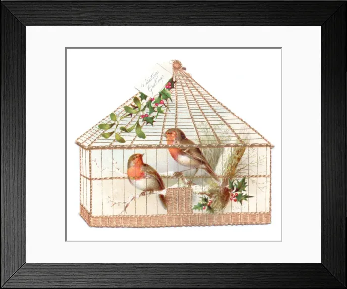 Framed Print : Robins in a cage on a cutout Christmas card Framed Print : Robins in a cage on a cutout Christmas card