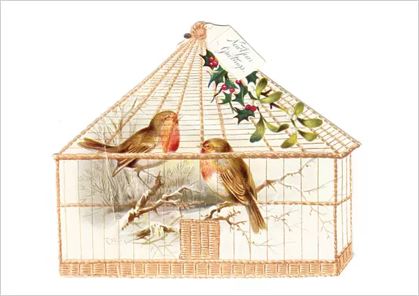 Robins in a cage on a cutout New Year card
