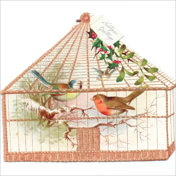Robin and blue tit in a cage on a cutout New Year card