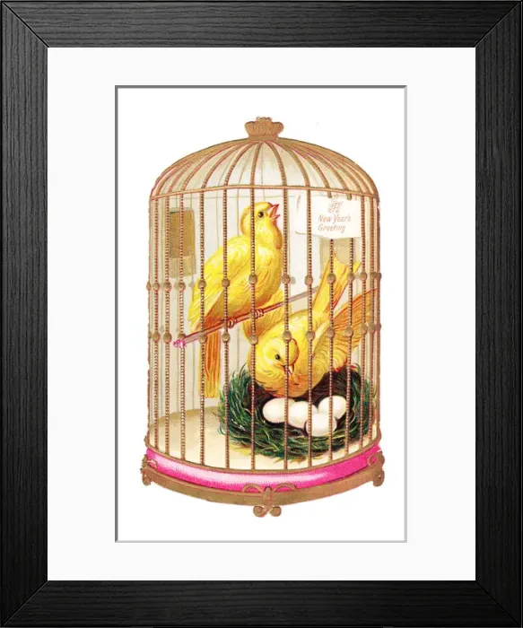 Framed Print : Two canaries in a cage on a cutout New Year card