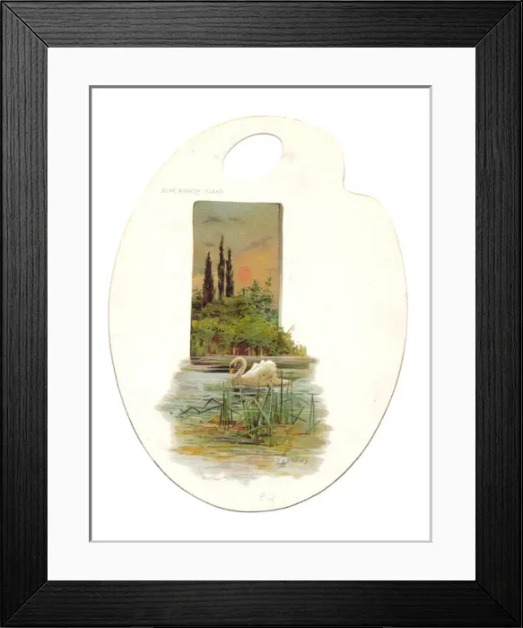 Framed Print : Swan on the water on a palette-shaped greetings card