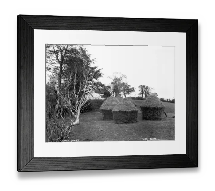 Framed Print : Stack Garden Framed Print : Stack Garden