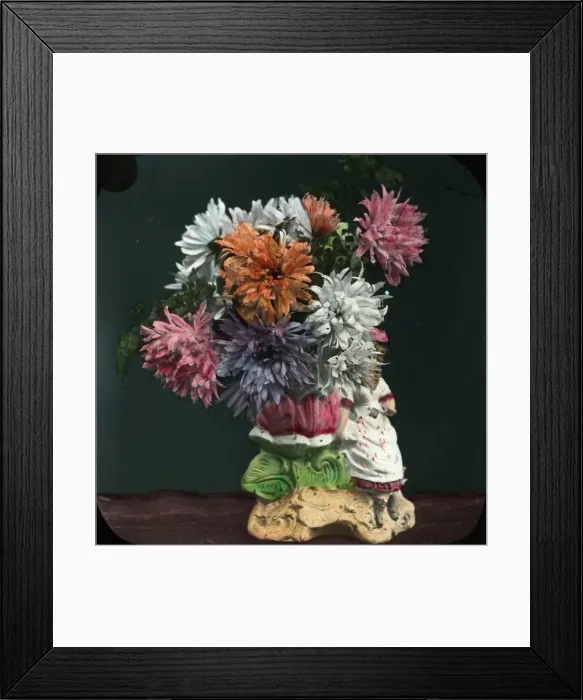 Framed Print : Flowers - Asters Framed Print : Flowers - Asters