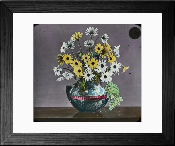 Framed Print : Flowers - Yellow and white daisies Framed Print : Flowers - Yellow and white daisies