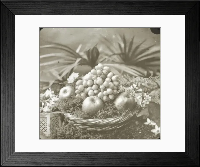 Framed Print : Flowers - Fruit in Basket Framed Print : Flowers - Fruit in Basket