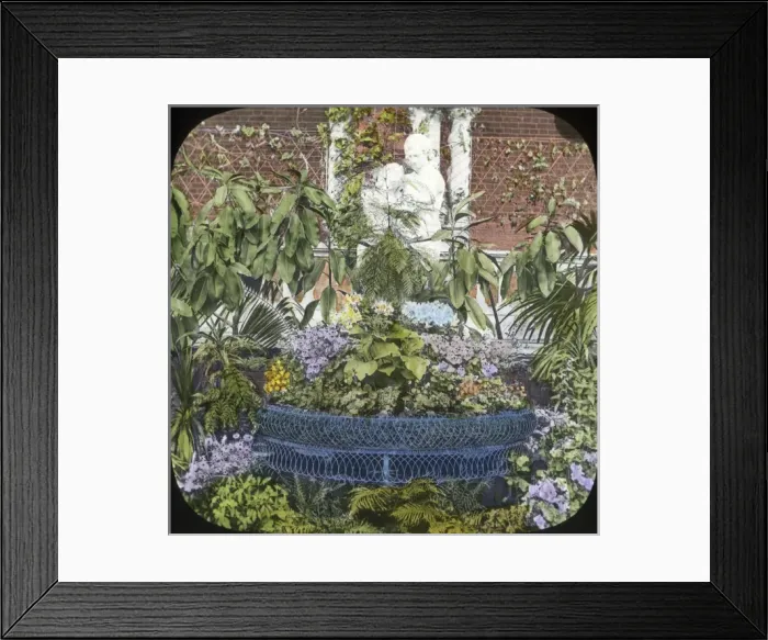 Framed Print : Flowers - An arranged flowerbed Framed Print : Flowers - An arranged flowerbed