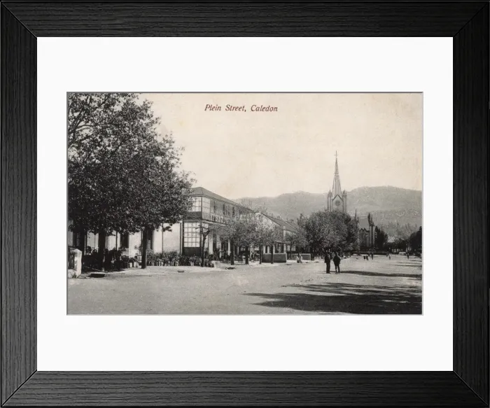 Framed Print : Plein Street, Caledon, Cape Colony, South Africa Framed Print : Plein Street, Caledon, Cape Colony, South Africa