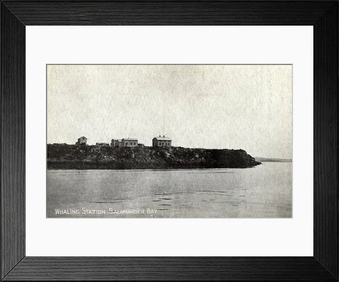 Framed Print : Salamander Bay, Western Cape Province, South Africa