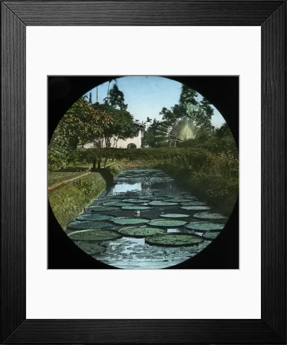 Framed Print : Victoria Regina, Kew Gardens