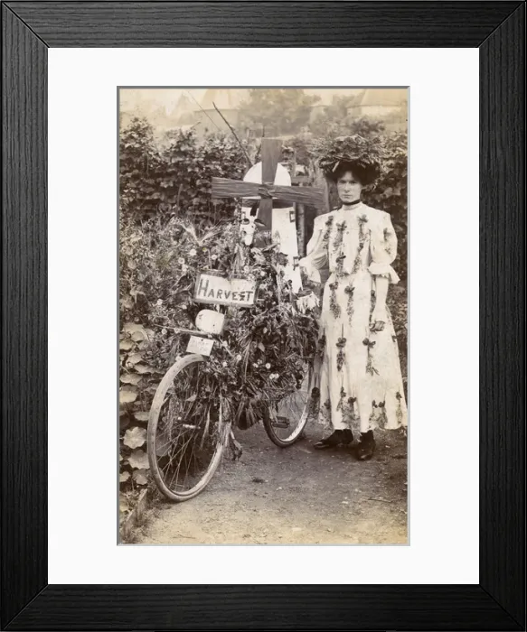 Framed Print : Flower Festival Competition Winner - Decorated Bicycle Framed Print : Flower Festival Competition Winner - Decorated Bicycle