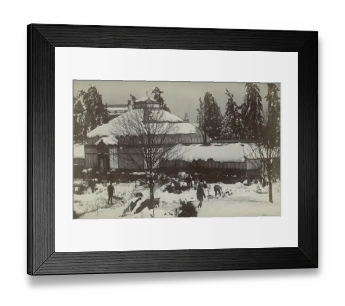 Framed Print : Joubert Park, Johannesburg, Transvaal, South Africa Framed Print : Joubert Park, Johannesburg, Transvaal, South Africa